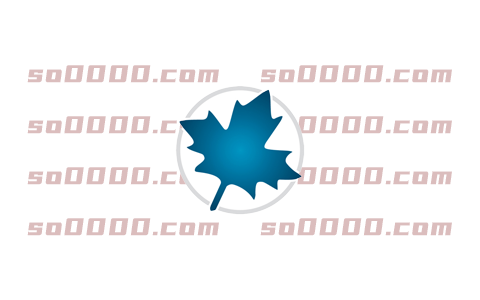 Maple 2021软件安装教程